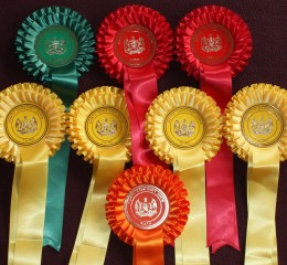 North Somerset Show rosettes
