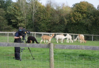 Filming Tractor Ted