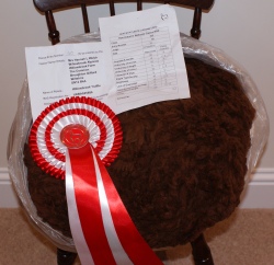 Willowbrook Truffle's prize winning fleece!